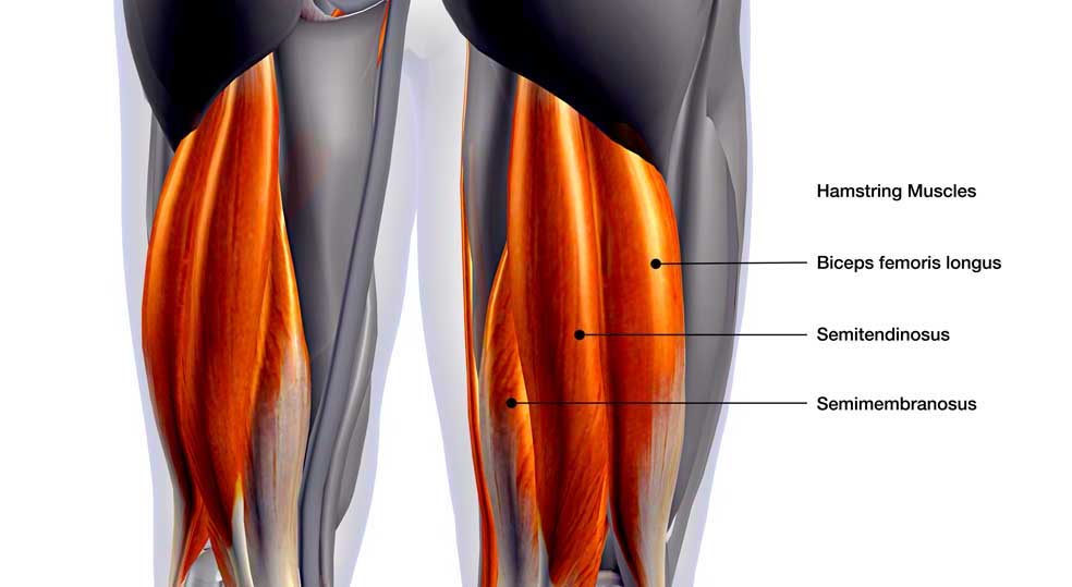 Sciatica Vs Hamstring Strain-How To Tell The Difference?